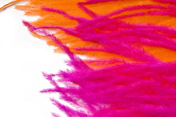 Pink and orange feather detail