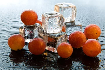 Foto auf Glas Schmelzende Eiswürfel mit Grapefruits auf reflektierendem Hintergrund © Fatman73