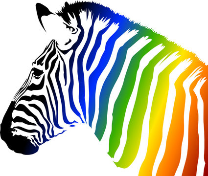 Zebra a colori