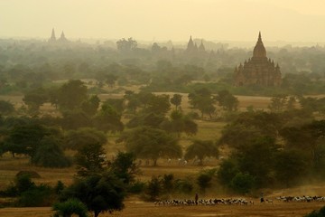 Bagan