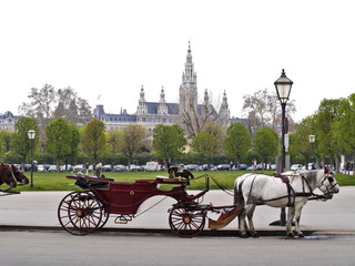 Kutsche mit Pferden vor der Wiener Hofburg
