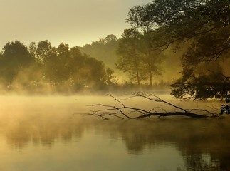 Gloomy look on hazy scenery
