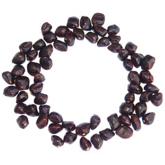 cercle de graines de tamarin