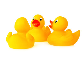 Rubber ducks deep in conversation.  