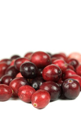 Red cranberries on white background