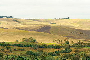 Obraz premium Country landscape