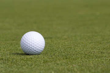 golf ball in green grass