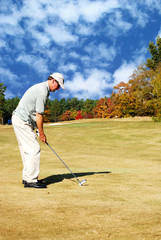 Fototapeta premium approach shot