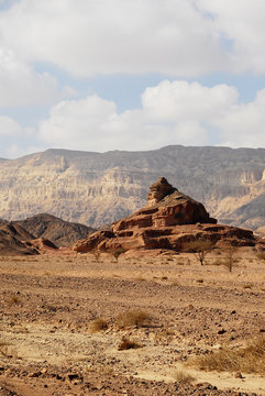 A dry red sand desert