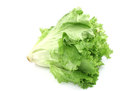 lettuce