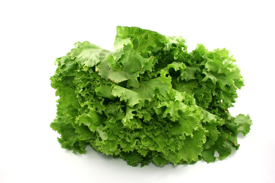 lettuce