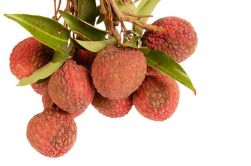 Bunch of Lychee Fruit
