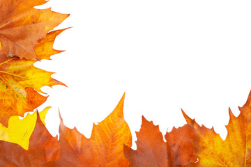 Autumn corner made from leaves, isolated on white background