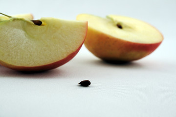 Apfelstücke