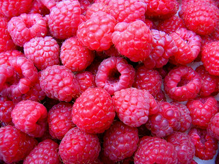 Raspberries