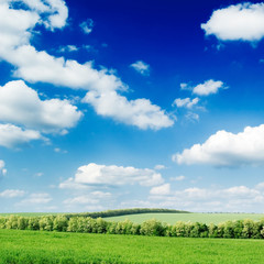 Fototapeta na wymiar green field and white clouds