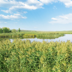 Fototapeta premium Lake, field and the blue sky.