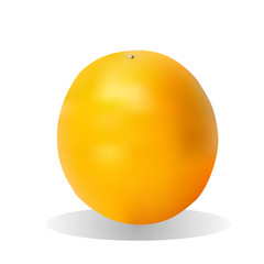 Bright orange fruit with drop shadow. Vector.