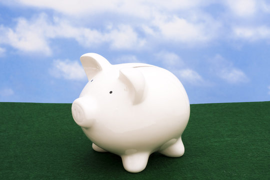 Piggy bank on grass with sky background with copy space