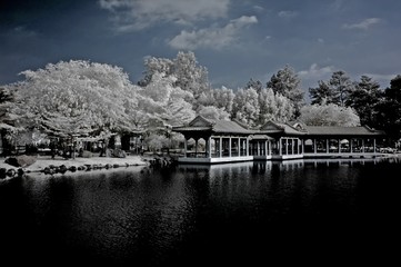 Fototapeta premium infrared photo - lake, house and tree in the parks