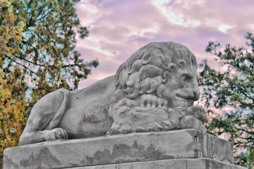 Lion statue