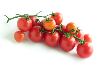 bunch of tomatoes