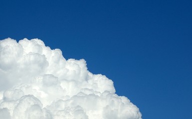 Naklejka premium Himmel. Blumenweiß&Blau