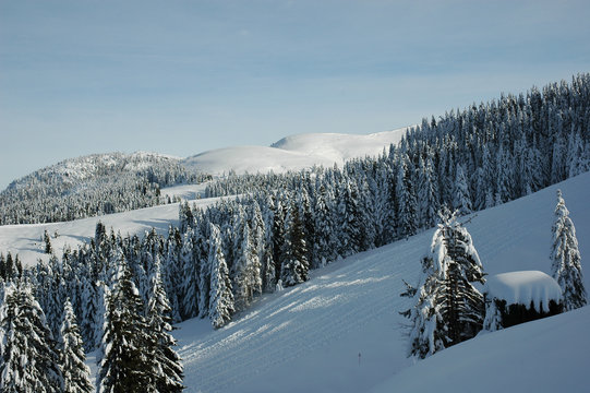 Gallio Altopiano di Asiago