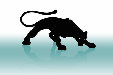 Black puma 2 © István Hájas