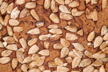 Wholegrain Bread Surface