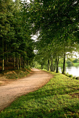 Chemin près d'un lac