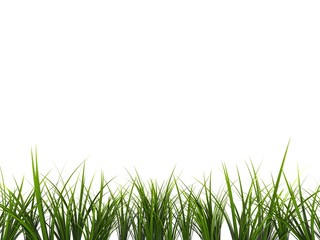 Fototapeta premium 3d gras