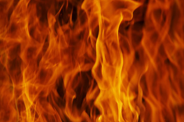 Fototapeta premium flames