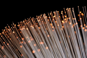 Optic Fibers