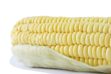 A corn cob