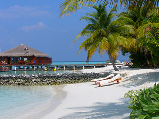 Maafushivaru - Maldive