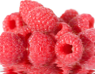 pile of raspberries in water on white background macro
