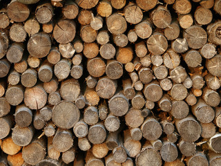 Fototapeta premium Brennholz