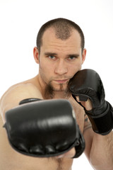 boxer