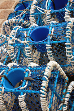 nasse accatestate dopo la pesca