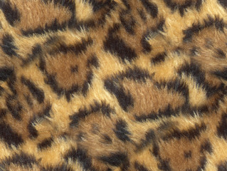 Leopard Skin