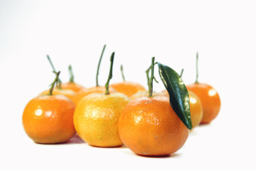 Mandarini