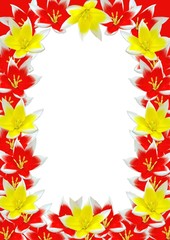Frame with red & yellow tulips