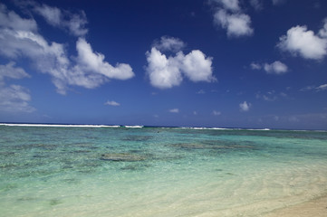 Tropical Dream Beach Paradise of the South Pacific