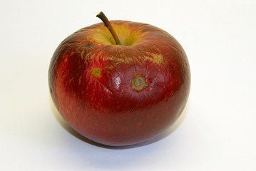 The red withered apple on a white background