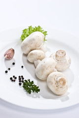 food serias: some mushrooms on the white plate