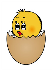 Osterküken, isoliert