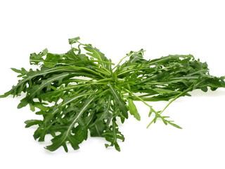 ruccola salat
