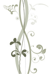 vecteur série - élégantes décorations courbes vectorielles