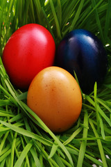 colorful eggs in nest made out of grass